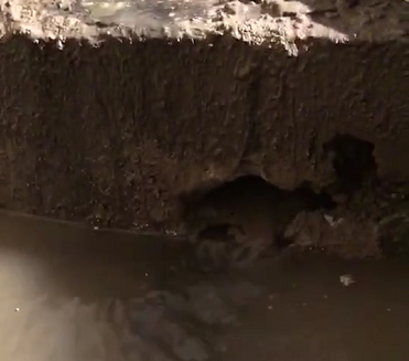 鄂爾多斯伸縮縫